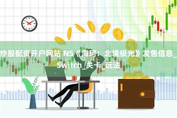 炒股配资开户网站 NS《海珂：北境极光》发售信息_Switch_关卡_玩法